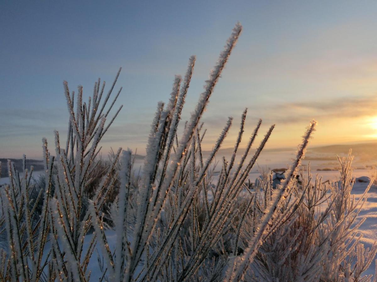 Ferienhaus Giebelei Medebach Exteriér fotografie