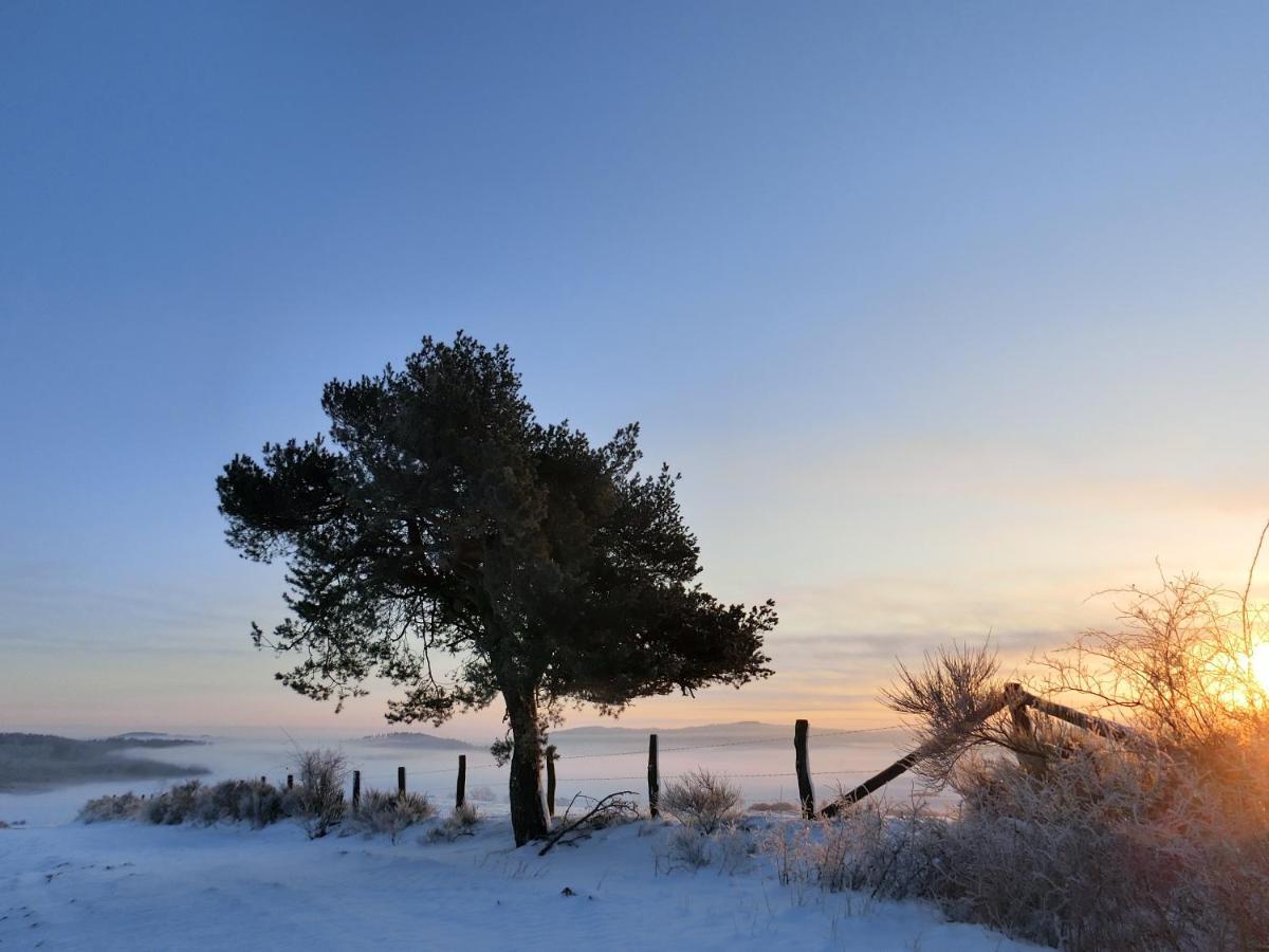Ferienhaus Giebelei Medebach Exteriér fotografie